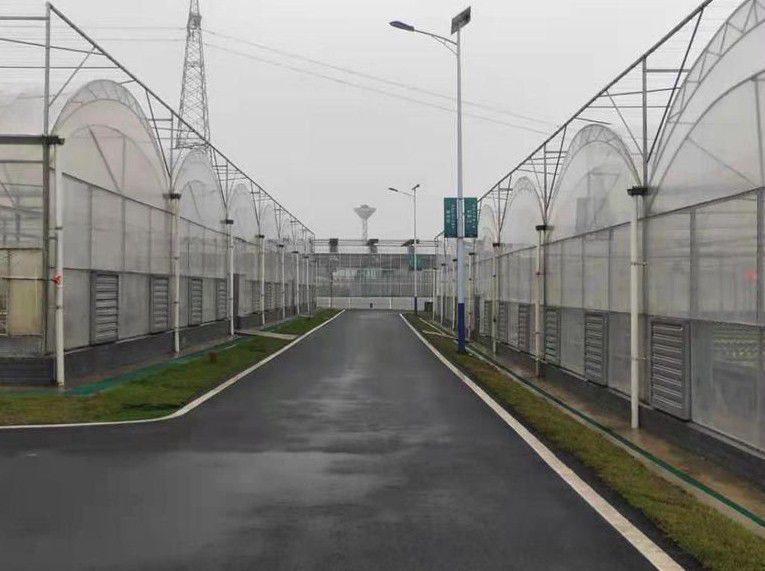 廣水連棟溫室大棚